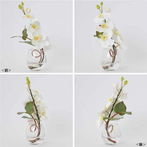 アートフラワー エミリオ・ロバ ファレノプシスS-a TTNTS52100