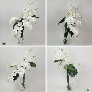 アートフラワー エミリオ・ロバ ファレノプシスXL TTNTA53600