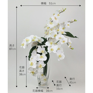 アートフラワー エミリオ・ロバ ファレノプシスXL TTNTA53600