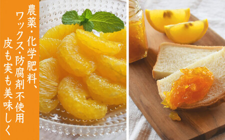 【先行予約 3月出荷】 おわせの雨夏(あまなつ) 5kg 無農薬 ワックス・防腐剤不使用 木成り 完熟 甘夏 ギフト 贈答 日用 でも使える 三重 尾鷲 の 柑橘 特産品 TK-12