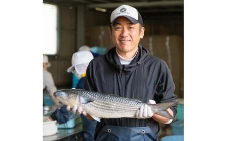 【訳あり】からすみ スライス 合計100g（25g × ４袋）小分け 訳あり おつまみ 珍味 酒 無添加 尾鷲　SE-16