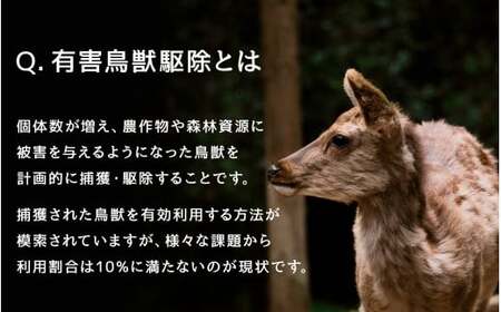 【 ジビエ 】鹿肉 モモ 300g｜サステナブル SDGs 新鮮 低カロリー ヘルシー 熟成 ステーキ 焼肉 シカ 小分け ジビエ食材 YZ-5