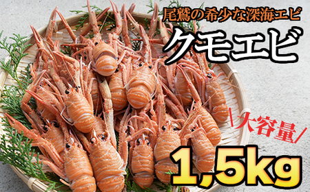クモエビ(オオコシオリエビ) 1,5㎏ 大容量 深海エビ 鮮度抜群 漁船直送 濃厚なミソ 上品な甘さ 海老 えび エビ 殻付き 有頭 冷蔵便 魚介類 魚貝類 海産物 おかず 酒の肴 三重県産 尾鷲市 HA-70