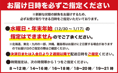 旬のお刺身盛合せ(約25切) 　マグロ まぐろ 鮪 タイ 鯛 イカ いか 烏賊 カンパチ かんぱち 勘八 サザエ さざえ 海鮮 魚貝類 魚介類 刺身 刺し身 旬の刺身 手軽 簡単 冷蔵 三重県 尾鷲市 UO-59