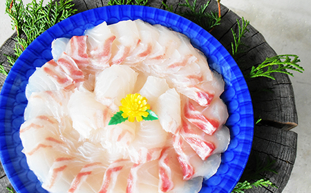 鯛 しゃぶしゃぶ 300ｇ 2〜3人前 カット済 新鮮 国産 養殖鯛 産地直送 魚介類 海鮮 冷蔵便 タイ たい しゃぶしゃぶ用切り身 お祝い 正月 海鮮鍋 ふるさと納税 三重県 尾鷲市 HA-71