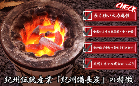 紀州備長炭 （約3kg）BBQ用 高級白炭 バーベキュー 焼肉 炭火焼き キャンプ レジャー 囲炉裏 国産 備長炭 ウバメガシ 行楽 安全 安心 火起こし 大活躍　DM-3