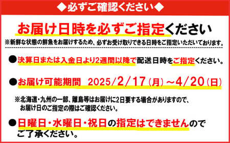 特大活伊勢エビ1.8kg～2kg（2～4尾）（2025/2/17〜4月20日までお届け）100セット限定 MG-10