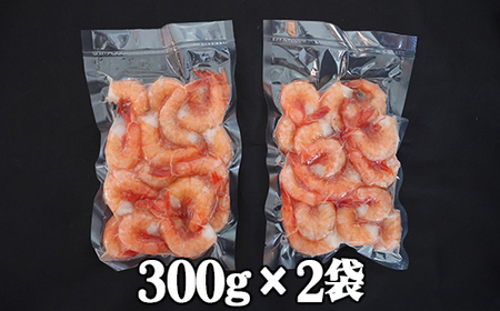 特大ガスエビ（ヒゲナガエビ） ６００gセット 特大サイズ 小分け 天然 鮮度抜群 漁船直送 海老 えび エビ 殻付き 簡単 調理 魚介類 魚貝類 海産物 おかず 産地直送 三重県産 尾鷲市 国産 人気 HA-73