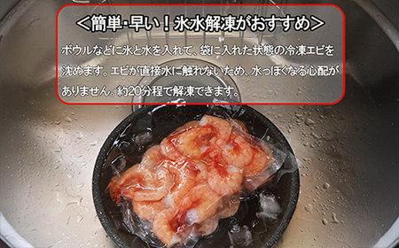 特大ガスエビ（ヒゲナガエビ） ６００gセット 特大サイズ 小分け 天然 鮮度抜群 漁船直送 海老 えび エビ 殻付き 簡単 調理 魚介類 魚貝類 海産物 おかず 産地直送 三重県産 尾鷲市 国産 人気 HA-73
