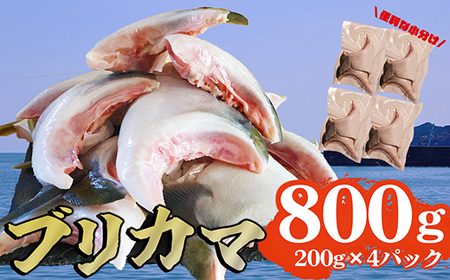 ブリカマ 切り落とし 800g 大容量 小分け 200×4 パック 国産 希少部位 ブリ ぶり 鰤 頭肉 塩焼き 煮付け 照り焼き ブリ大根 アクアパッツァ 人気 大満足 美味しい 魚介類 海鮮 バーベキュー BBQ 冷凍 肉厚 ふるさと納税 三重県 尾鷲市 OB-37