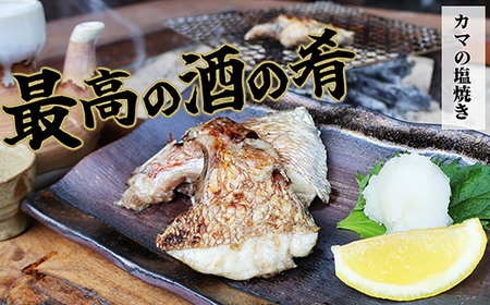 人気のカマ 食べ比べセット ブリカマ 真鯛カマ 切り落とし 合計900g 大容量 小分け パック 国産 希少部位 ブリ ぶり 鰤 頭肉 塩焼き 煮付け 照り焼き ブリ大根 アクアパッツァ 真鯛 マダイ 鯛 タイ たい ソテー 塩焼き 煮付け 鯛めし 人気 大満足 美味しい 魚介類 海鮮 バーベキュー BBQ 冷凍 肉厚 ふるさと納税 三重県 尾鷲市 OB-36