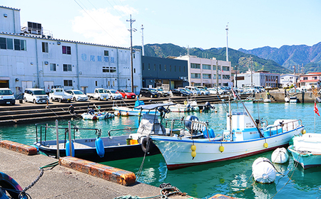 人気のカマ 食べ比べセット ブリカマ 真鯛カマ 切り落とし 合計900g 大容量 小分け パック 国産 希少部位 ブリ ぶり 鰤 頭肉 塩焼き 煮付け 照り焼き ブリ大根 アクアパッツァ 真鯛 マダイ 鯛 タイ たい ソテー 塩焼き 煮付け 鯛めし 人気 大満足 美味しい 魚介類 海鮮 バーベキュー BBQ 冷凍 肉厚 ふるさと納税 三重県 尾鷲市 OB-36