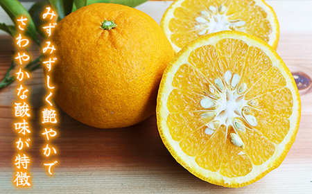 果汁100% 甘夏ジュース180ml×5本セット 便利な 小分け 甘夏 蜜柑 果物 柑橘 フルーツ シュース 国産 三重県 尾鷲市 AI-5