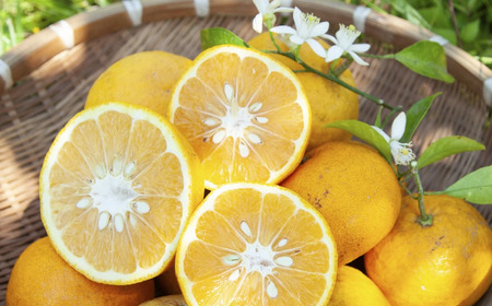 【数量限定】宇宙が喜ぶ甘夏100%ジュース 180ml×3本 　農薬 , 除草剤 , 化学肥料 不使用 , 愛情たっぷりで育てた甘夏のおいしさをぎゅっと搾りました！ 果物 ギフト 贈り物 三重県 尾鷲市 MA-9