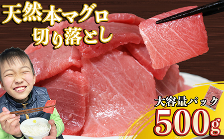 天然本マグロ 切り落とし 大容量パック ５００ｇ 天然まぐろ 本マグロ 刺身 中トロ 赤身 まぐろ丼 家族みんなで 手巻き寿司 寿司 天然 まぐろ マグロ 簡単 時短 冷凍 魚介 海鮮 トロ 鮪 人気 返礼品 三重県 尾鷲市 CH-106