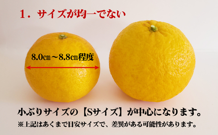 おわせの甘夏 【訳あり】 4kg 木成り完熟甘夏 甘夏 蜜柑 果物 みかん 雨の恵み 国産 三重 尾鷲 柑橘 特産品 AI-6
