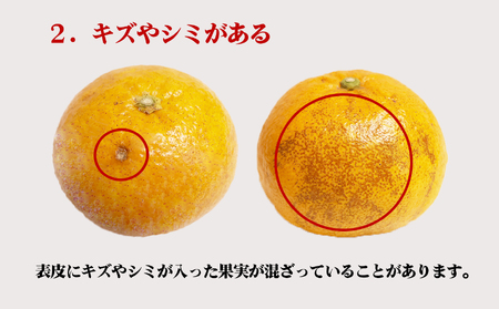 おわせの甘夏 【訳あり】 4kg 木成り完熟甘夏 甘夏 蜜柑 果物 みかん 雨の恵み 国産 三重 尾鷲 柑橘 特産品 AI-6