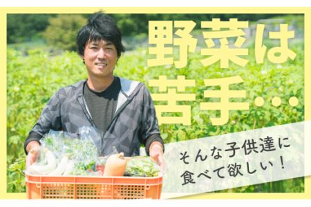 農薬不使用】やさしい風味！旬のお野菜詰め合わせボックス 〈100サイズ