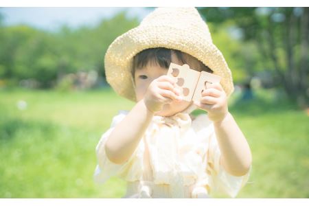  数字の絵合わせパズルカード【尾鷲ヒノキ製】　EB-17 