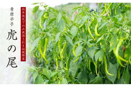 【ど辛い】虎の尾醤油 セット（100ml ×３本）　MN-3