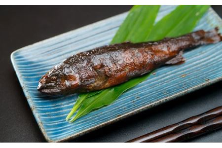 手作り 鮎の甘露煮&ちりめん山椒セット　KA-32