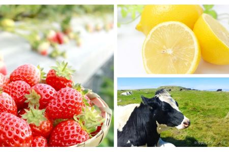  無添加 手作り黒豆きな粉ミルクジャム　160g × ３本セット　KA-10