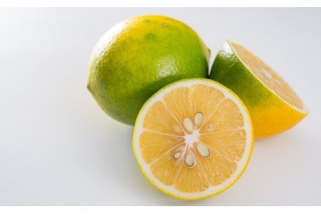  無添加 手作り お試しミルクジャム　160g × ２種セット＜お試し商品＞　KA-34