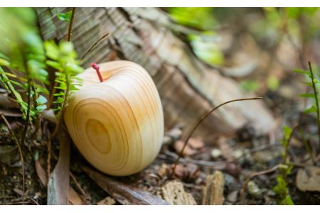  尾鷲ヒノキ製 家具職人の手作りリンゴの置き物　KG-3