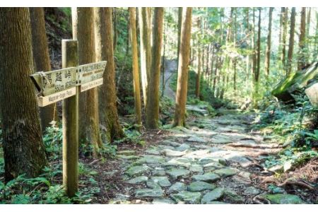 尾鷲路 熊野古道水 500ml × 48本セット(ミネラルウォーター)AL-22