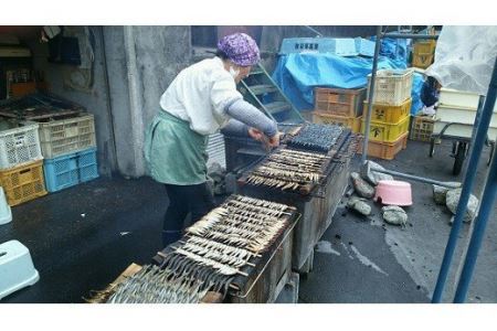 梶賀のあぶり食べ比べ５種セット KJ-37