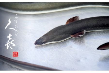  国産うなぎ　うなぎめしセット　20個入り　SH-22