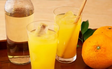 甘夏 （農薬化学肥料不使用）無添加100％ジュース1L×３本 180ｍl×4本 尾鷲市 甘夏屋 平山農園 HI-1