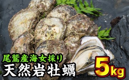 海女採り 尾鷲産天然岩牡蠣（いわがき）　大容量５kgセット（カキ平均サイズ約400g）　MK-13