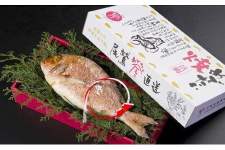 めでたい焼　ME-7