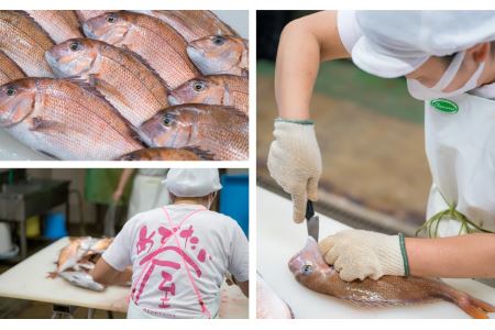  鯛めしころりん食べ比べ　90g × ５個セット＜お試し価格＞　ME-95