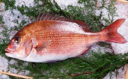  鯛 専門店 めでたい屋 の 真鯛のお刺身くん製　尾鷲市 　ME-21