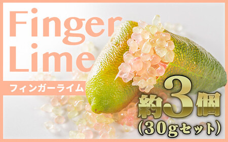 フィンガーライム ３個程度（合計30g）【FINGER LIME JAPAN公認 ...