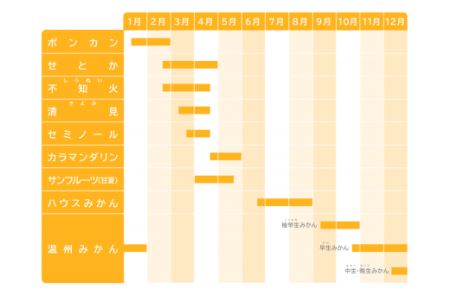 三重県産 温州みかん 5kg《12月末までの受付》 国産みかん 温州みかん 大容量 ミカン 柔らかい果実 三重県産みかん 甘いみかん おすすめみかん お得 蜜柑 紀州 三重県 尾鷲市 II-46