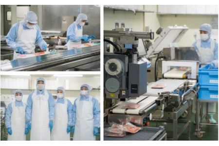 ブリしゃぶ 500gセット（100g × 5パック）　OB-10