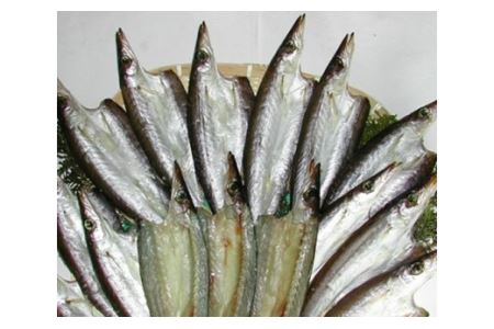 海の幸「九鬼水軍ひもの詰合せ」8品 HS-12