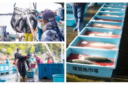 旬の干物詰め合わせ　5袋セット　KM-2