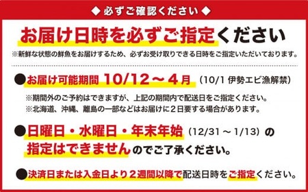 活伊勢エビ ＜ 生 ＞ 約1kg（２～４尾） 天然 伊勢海老 イセエビ 伊勢エビ 伊勢えび いせえび エビ えび 海老 刺身 豪華 お造り 《10月12日～4月期間限定出荷：先行予約も可（到着日時指定必須商品）》ebi　HA-56