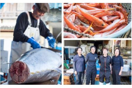お刺身盛り合わせ 赤身 ビンチョウ キハダ メバチ 白身 タイ カンパチ カット済み２魚種セット さしみ 盛合せ　HA-28