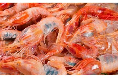 珍味！オニエビ（ミノエビ） ８００gセット 　HA-60