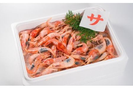 珍味！オニエビ（ミノエビ） ８００gセット 　HA-60