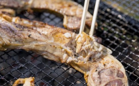 グリル用まぐろカマ肉 ３切れセット　＜お試し商品＞　CH-84 