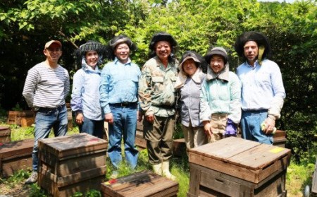 【自然塗料】未晒し蜜ロウワックス とミストデワックスなどのセット　OG-16