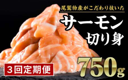 【定期便３回】生食用サーモン切り落し　大満足750gセット　OB-18