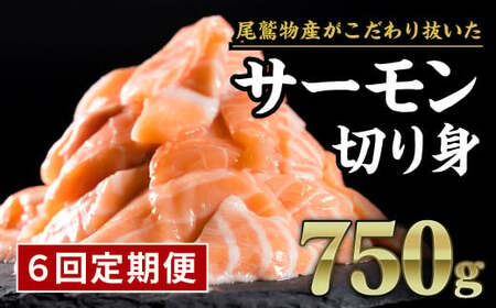 アトランティックサーモン 【定期便６回】 生食用 切り落とし 750g (150g ×5パック) 小分け 鮭 国際規格SQF2000 さけ シャケ しゃけ sake カルパッチョ ソテー レアステーキ 人気 高級 大満足 生食用 刺身 お刺身 刺し身 魚介類 海鮮 冷凍 厚切り 薄切り ふるさと納税 ふるなび 三重県 尾鷲市 OB-27