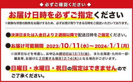 伊勢海老 活伊勢海老 特大伊勢エビ 伊勢エビ刺身 伊勢海老汁 2025/1/3までお届け ※申込締切12/22　MG-8